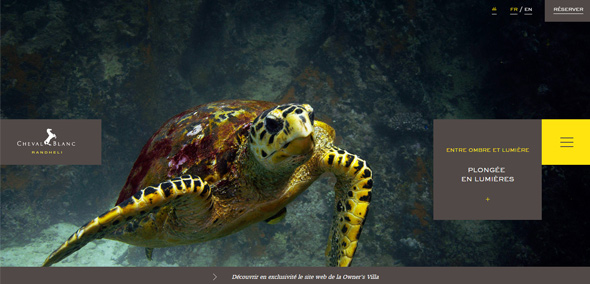 ��������Ʒ�W(w��ng)վ ����Ʒ�W(w��ng)վ �W(w��ng)վ�O(sh��)Ӌ�p�R �W(w��ng)վ�O(sh��)Ӌ